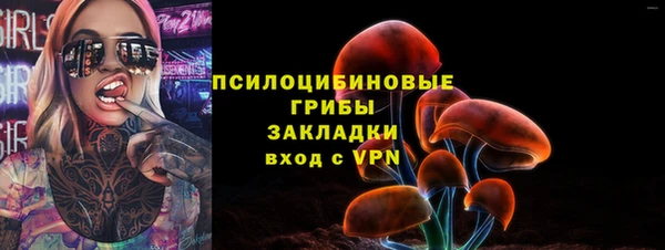 spice Няндома