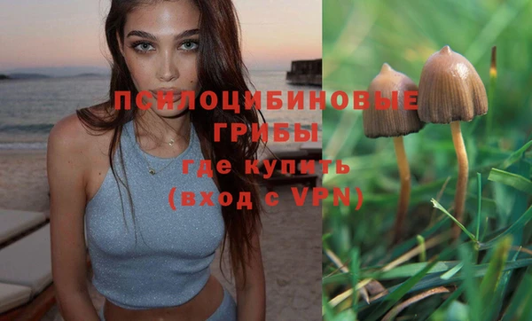 spice Няндома