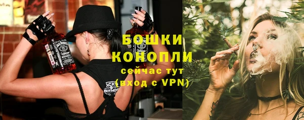 spice Няндома