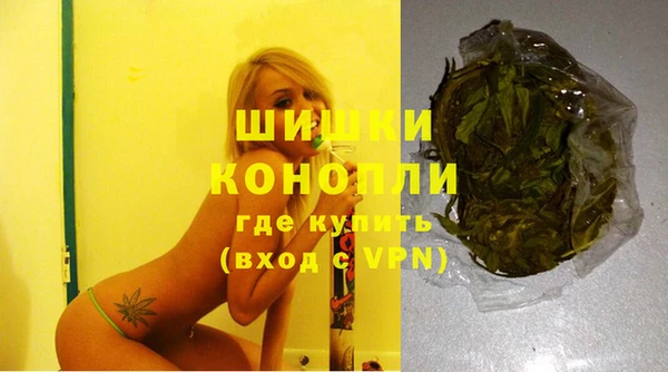spice Няндома