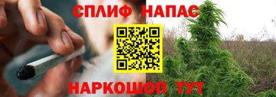 гашик Кимры