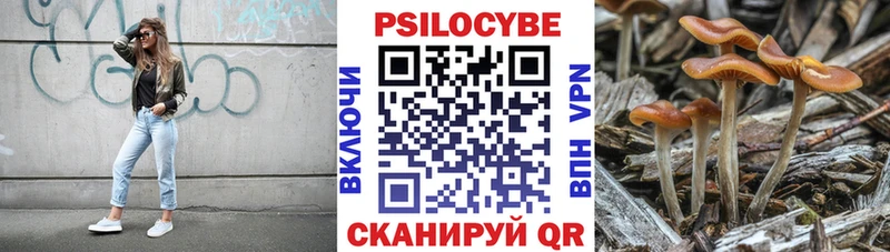 Галлюциногенные грибы Magic Shrooms  Кропоткин 
