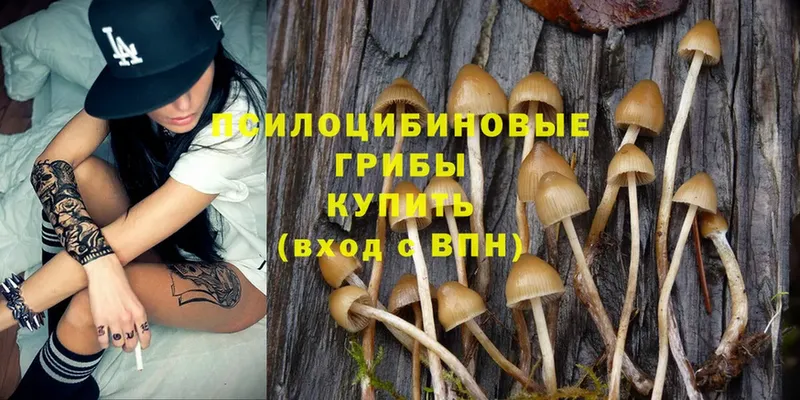 hydra сайт  Кропоткин  Псилоцибиновые грибы Psilocybe  закладки 